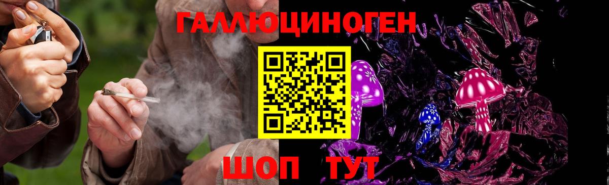 Галлюциногенные грибы Cubensis Грозный